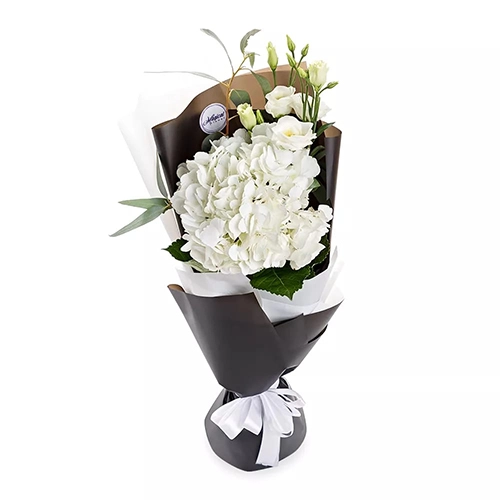 Композиции