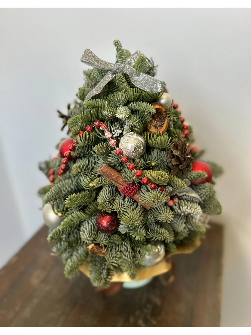 Композиция | Елочка зеленая